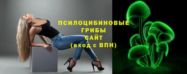 винт Краснослободск
