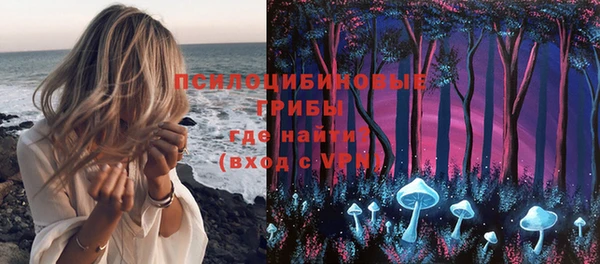 ПСИЛОЦИБИНОВЫЕ ГРИБЫ Краснотурьинск
