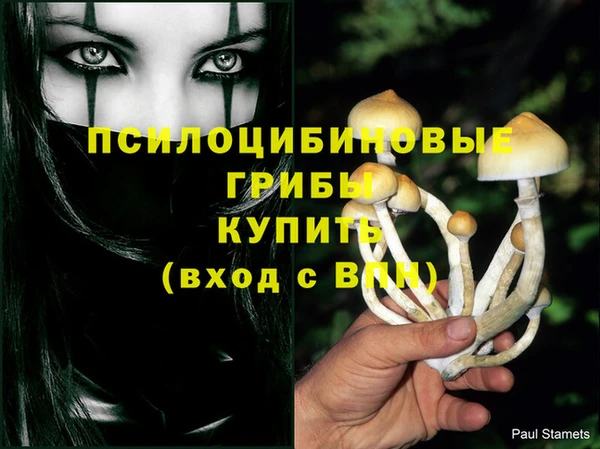 первитин Красноперекопск