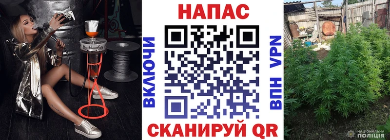 Купить  Старая Купавна  Бошки марихуана конопля 